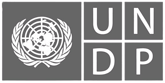 UNDP