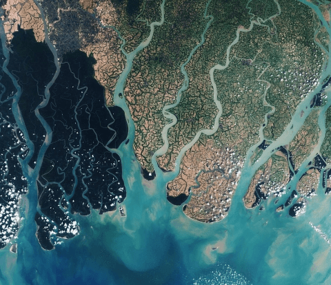 Connecting knowledge, people and planning for Bangladesh’s delta
