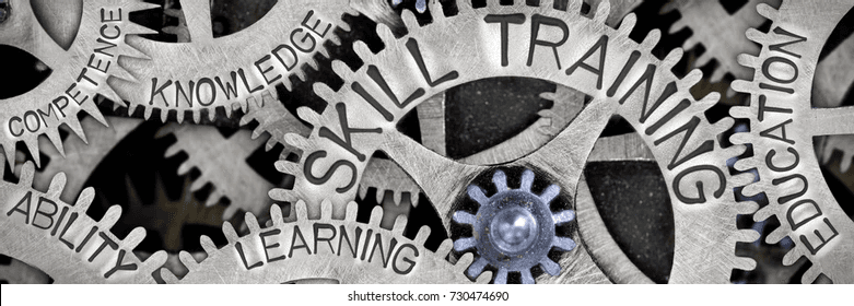 Opening pathways to inclusive skills and employment